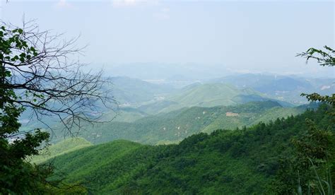 嘉興莫干山開車多久，時間的流逝與心靈的旅程