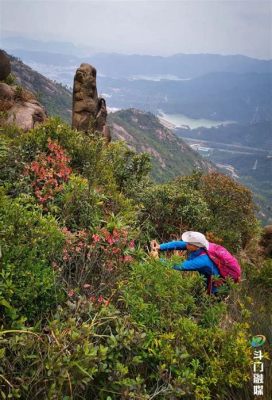 珠海斗門有哪些山：窠探自然美景與人文風情之融合